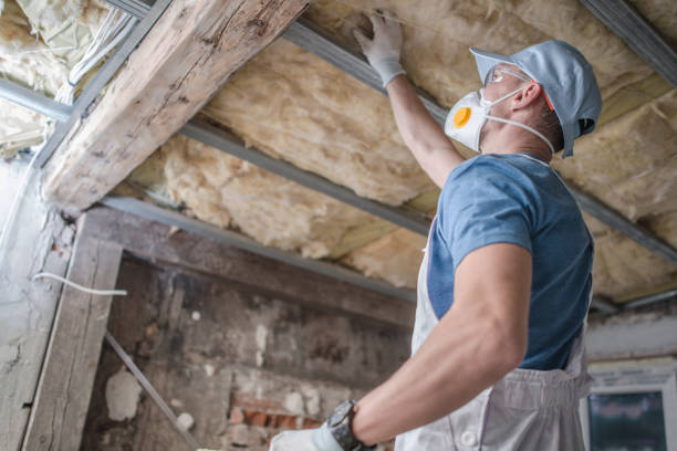 Professional Insulation Contractor in Homosassa Springs, FL