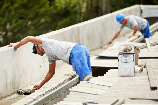 Best Geographic-Specific Insulation Services in Homosassa Springs, FL
