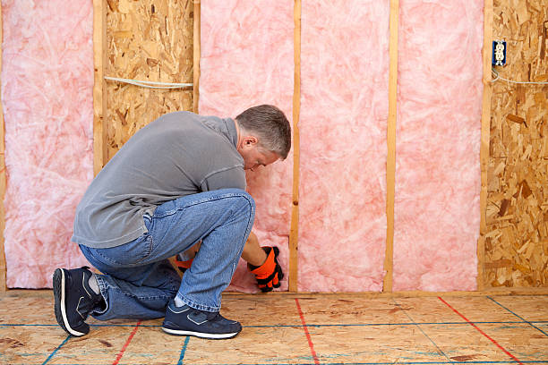 Types of Insulation We Offer in Homosassa Springs, FL