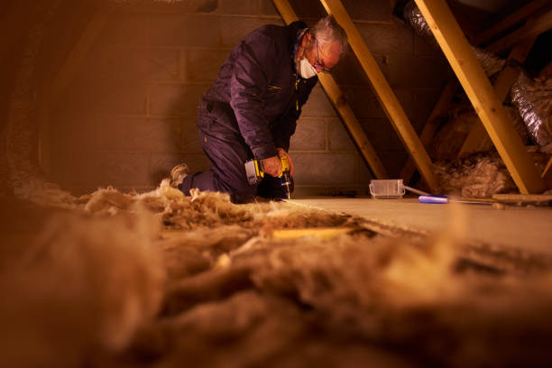 Professional Insulation Contractor in Homosassa Springs, FL